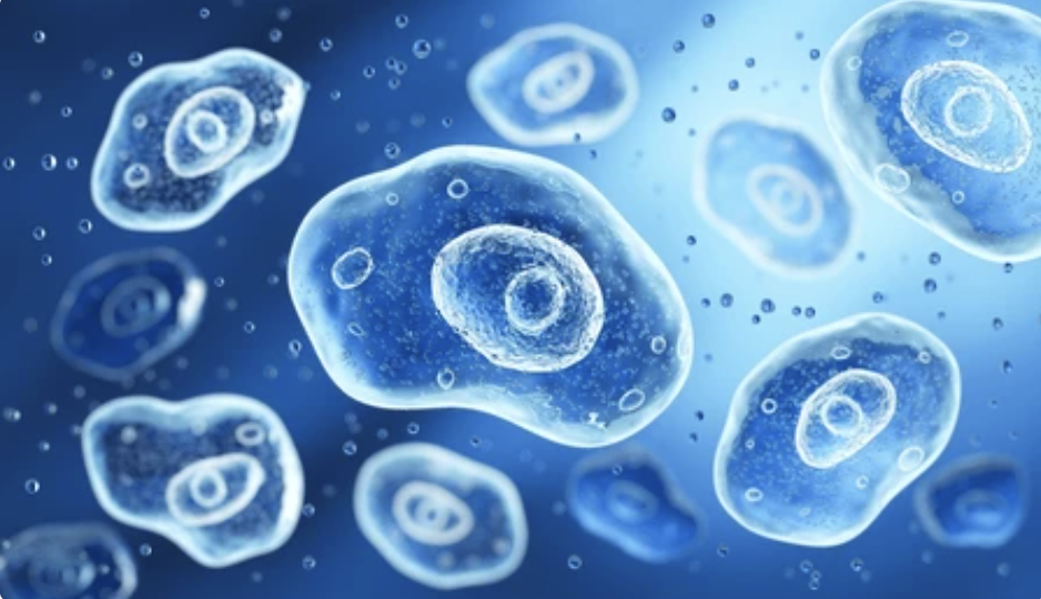 COPO Marks First Successful Single-cell Submission